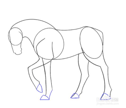 如何画一匹简单的马