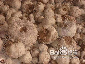 吃对5种食物让你告别大象腿