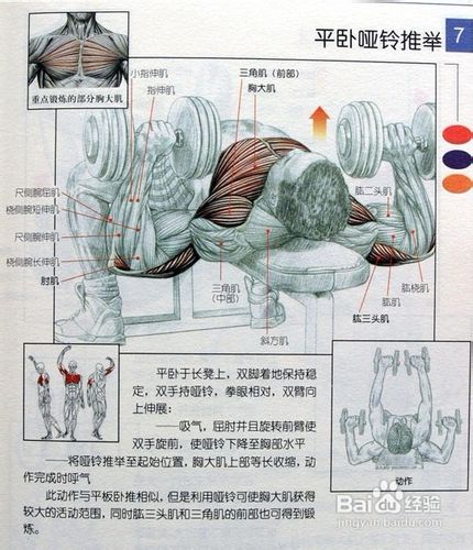 男士必须收藏:男士健身方案