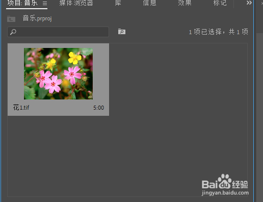 premiere波形变形如何使用