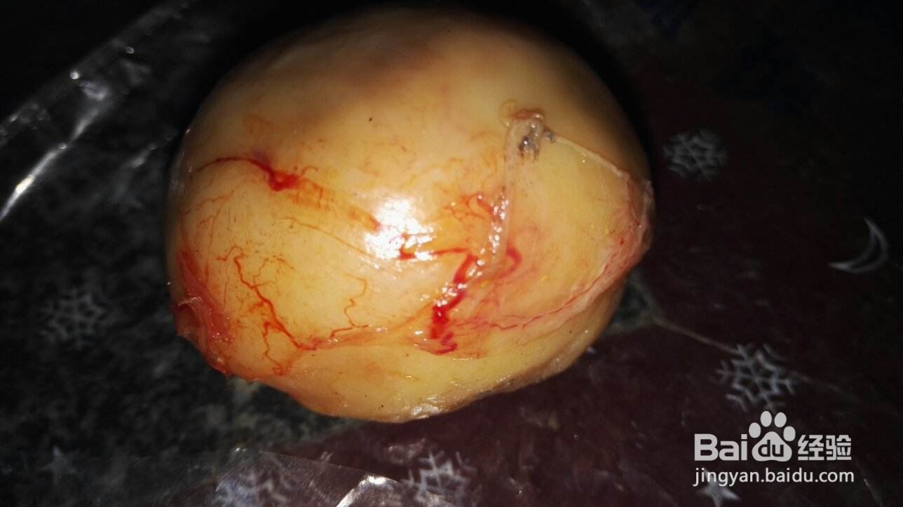 鸭宝的最简单鉴定方法