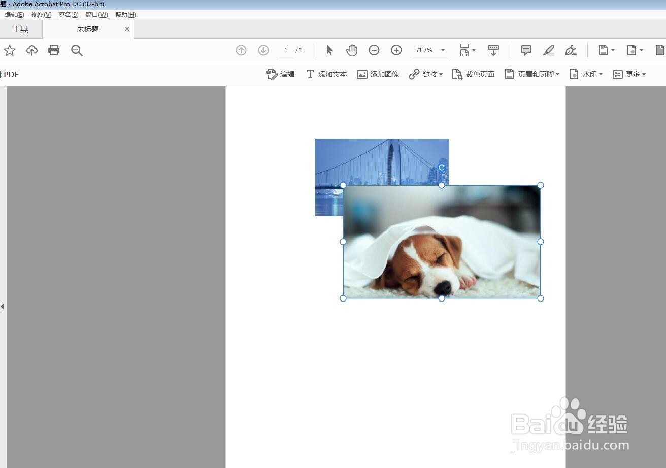 Adobe Acrobat DC怎么去掉图像边框