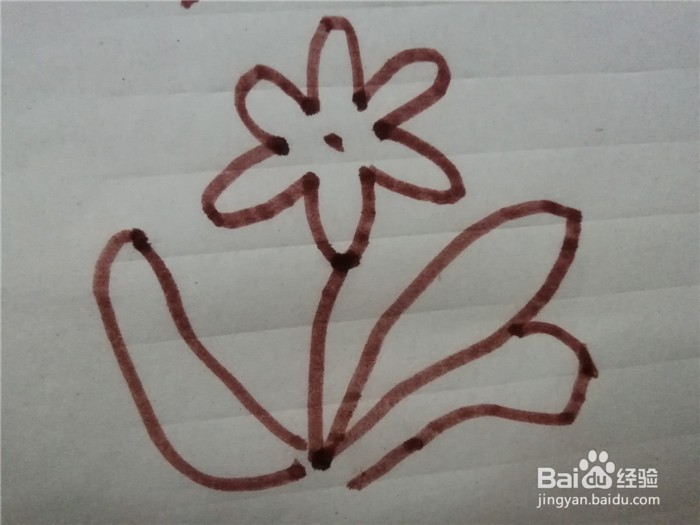 怎么样用简笔画画兰花草