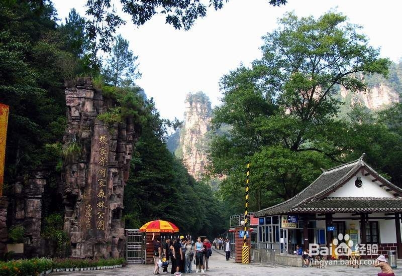 上海到张家界旅游攻略