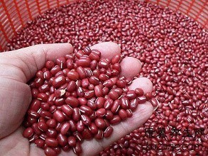 祛湿用薏米的吃法