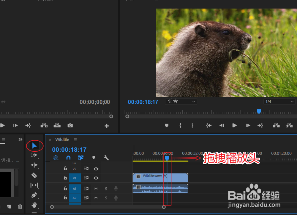 如何使用PR给视频打马赛克？