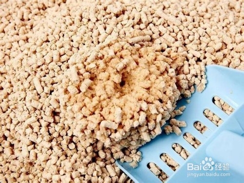 豆腐猫砂怎么制作