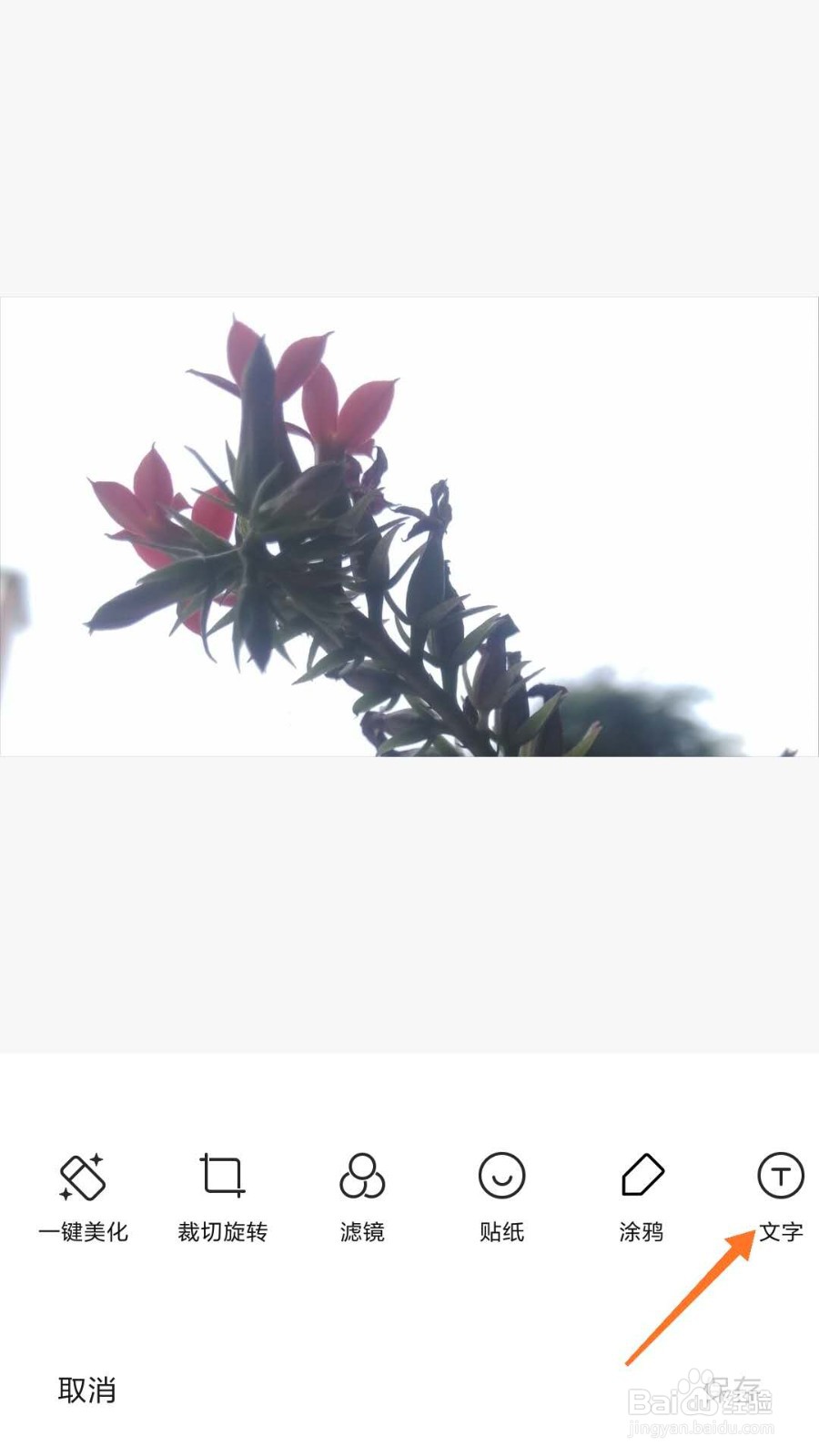 如何用手机自带功能为图片快速加上水印