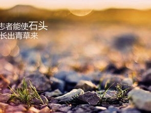 怎样冲刺高考一百天(2)：[3]英语复习考试方法