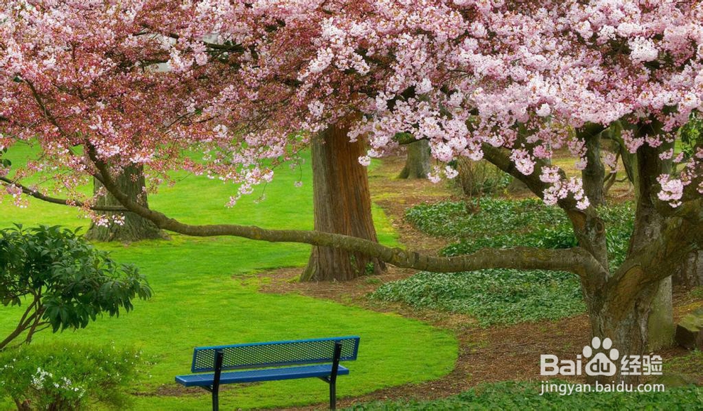 月经期间心情不好怎么办