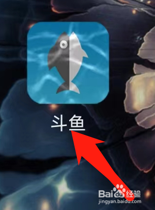 斗鱼查看互动记录