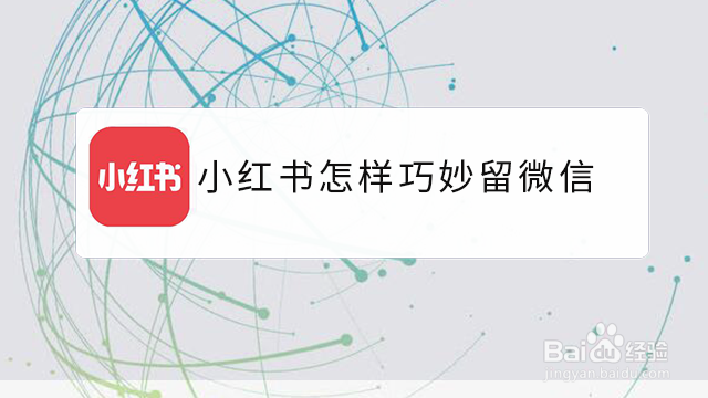 <b>小红书怎样巧妙留微信</b>