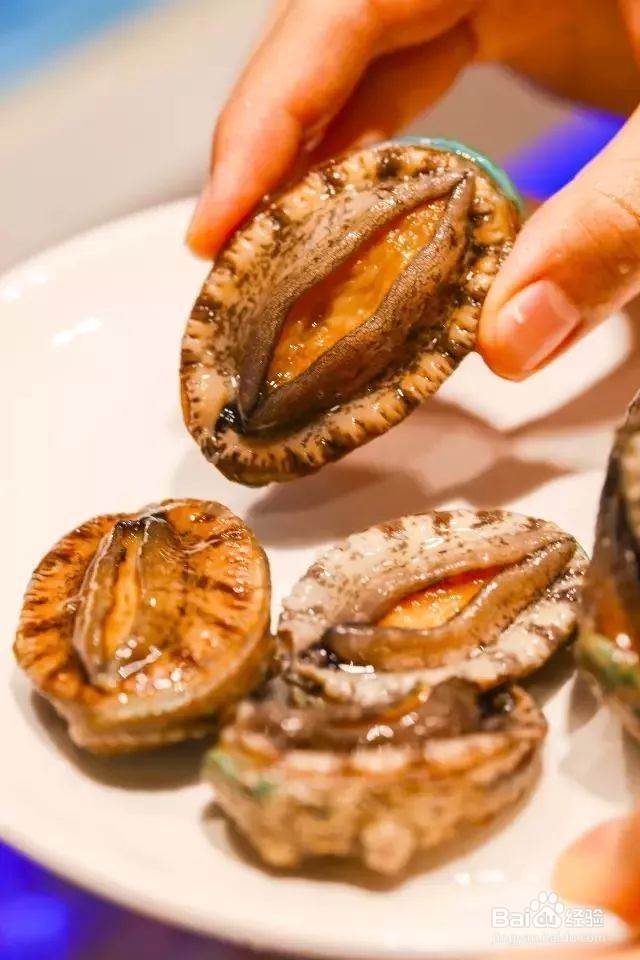 鲍鱼属于以下哪一类动物