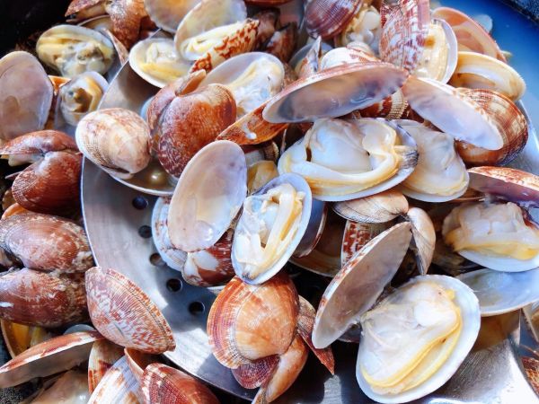 蒜蓉辣椒酱炒花甲