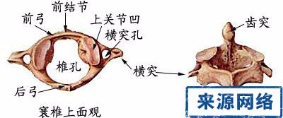 怎样学好医学