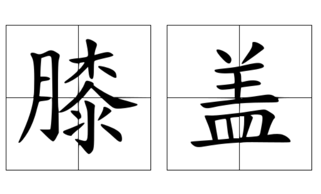 菠萝盖是女人哪个部位