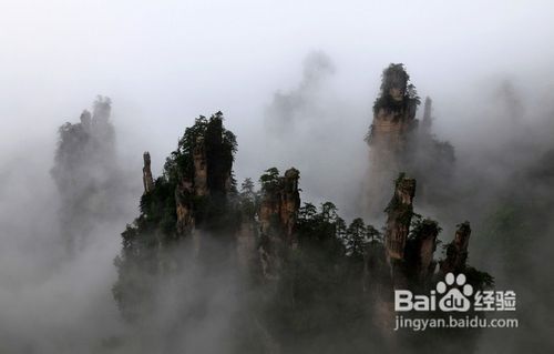 五一张家界旅游攻略