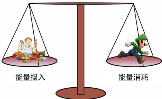 儿童能量消耗主要包括哪四个方面