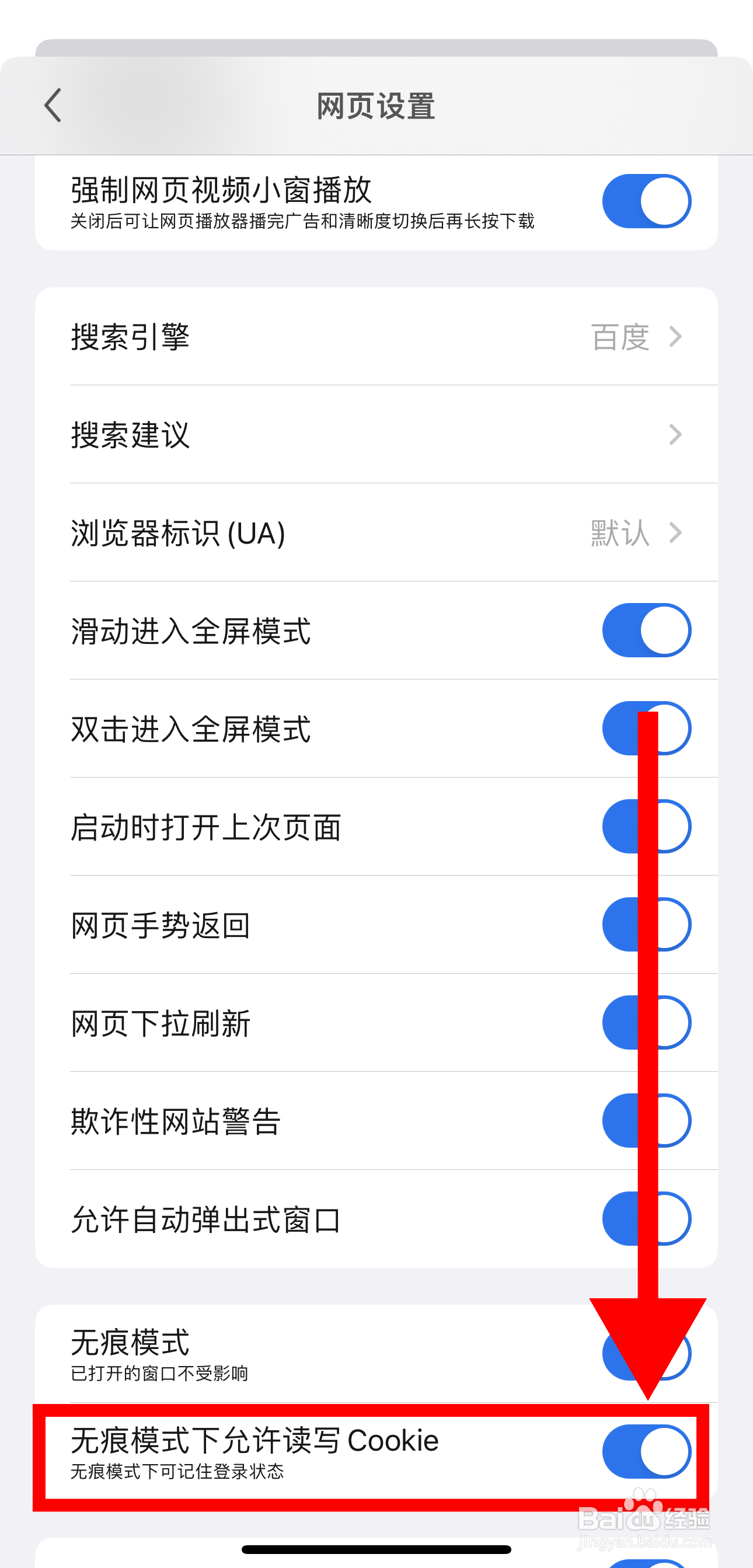 亚瑟浏览器怎样开启无痕模式下允许读写Cookie