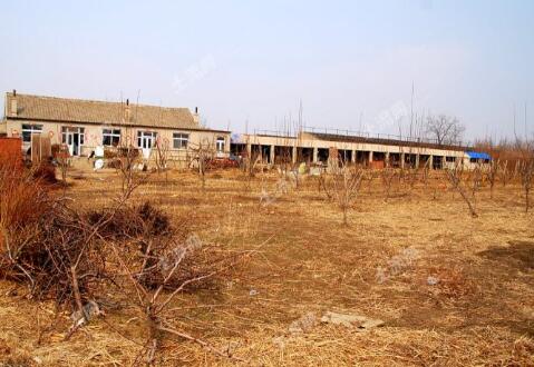 怎么区分宅基地与耕地