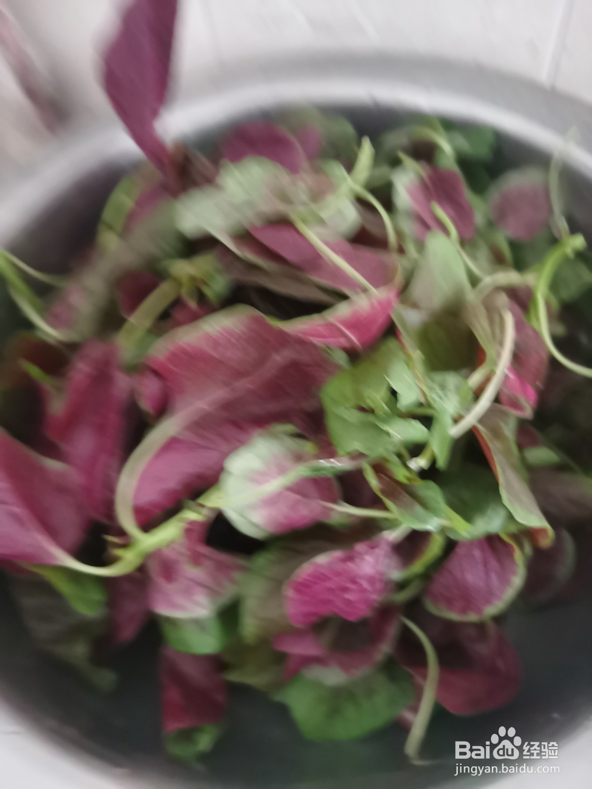 如何做猪肉苋菜汤