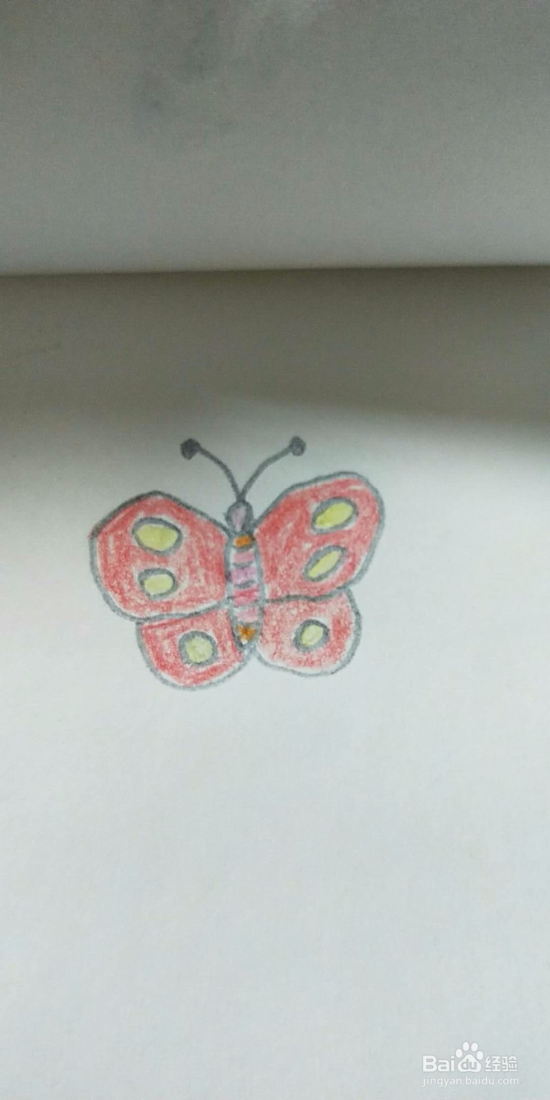 蝴蝶的简笔画教程