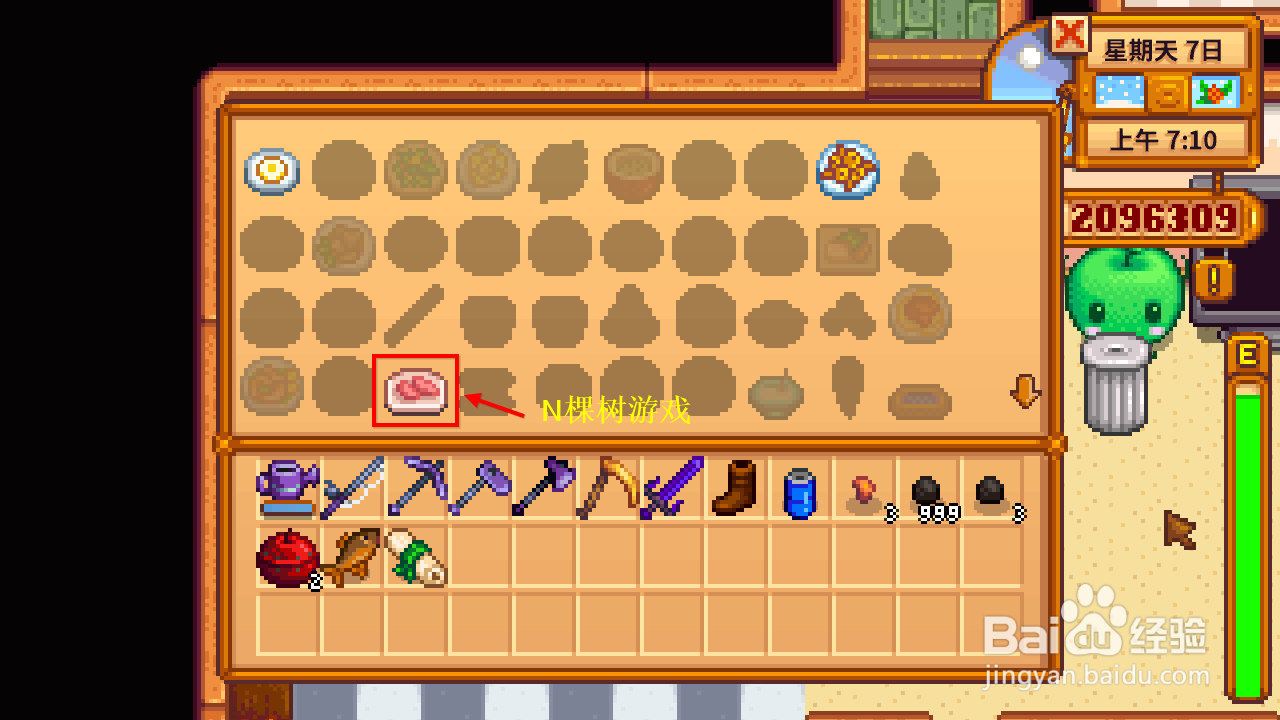 星露谷物语塞巴斯蒂安攻略