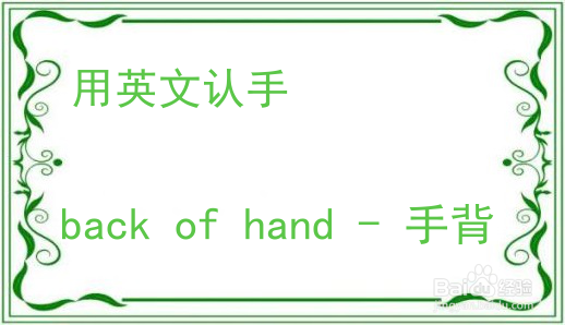 教你用英文认手