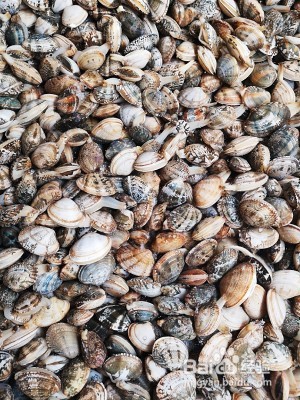 养生食补蛤蜊冬瓜汤的做法