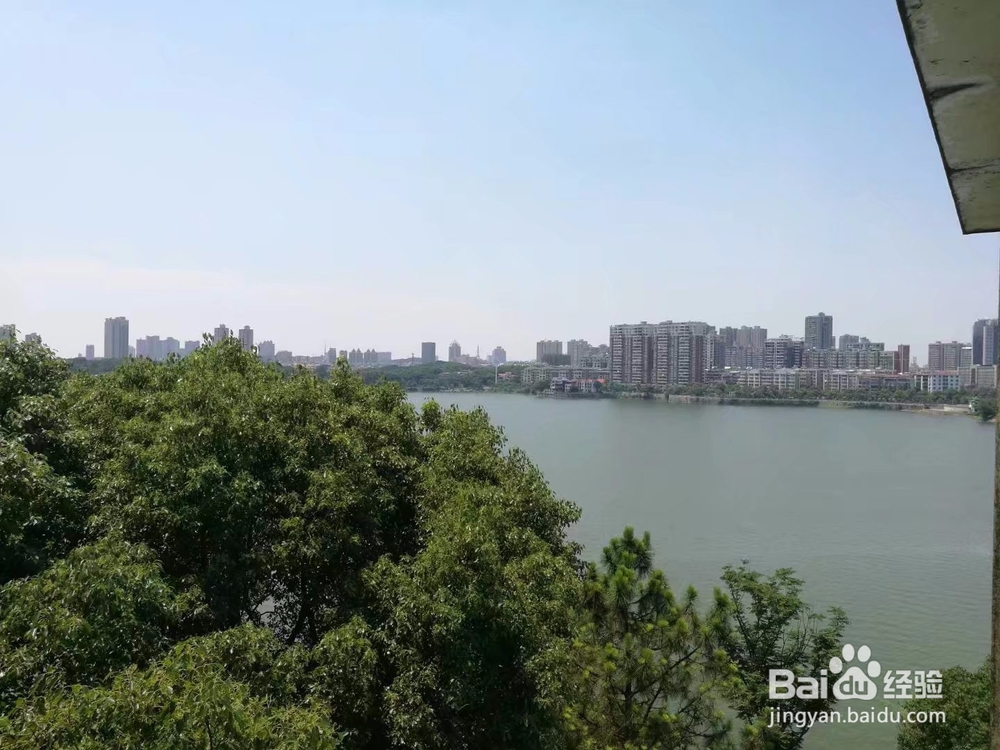 大暑来临，这些方法能帮助你防暑降温