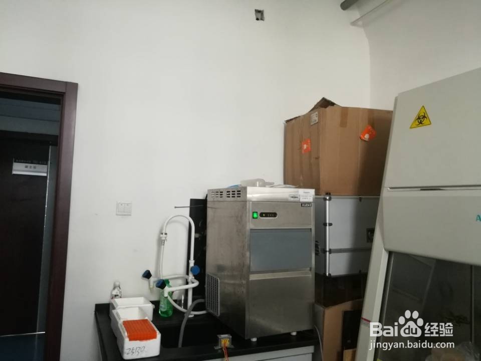 太平洋鱈IRF3氨基酸序列比对方法