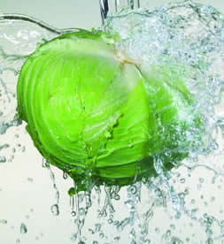 吃圆白菜的七大好处