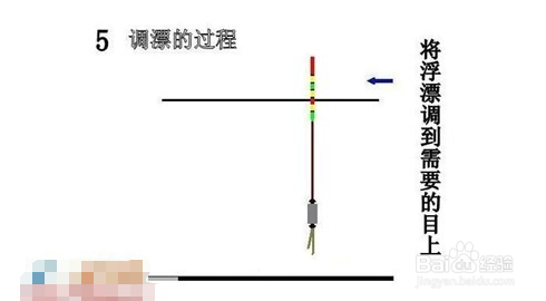 新手钓鱼调漂的正确方法