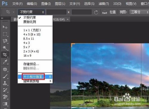 ps怎么裁剪指定大小