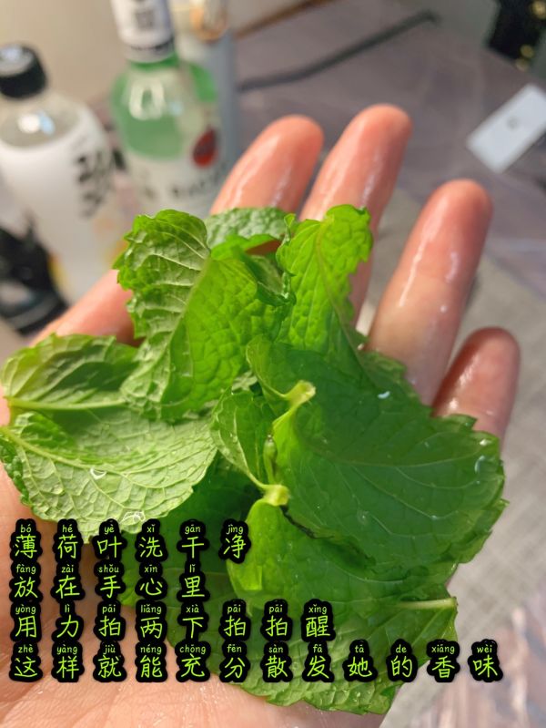 做了一杯mojito
