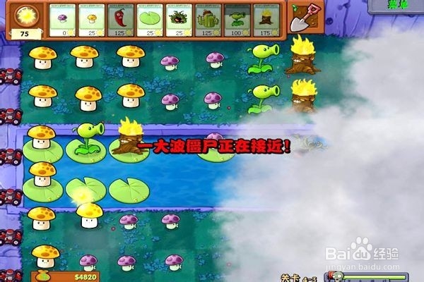 植物大战僵尸通全关的攻略。（4~3关）