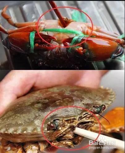 煮螃蟹的做法步骤如下