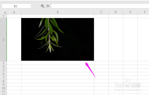 WPS2019中Excel图片如何随单元格改变而改变
