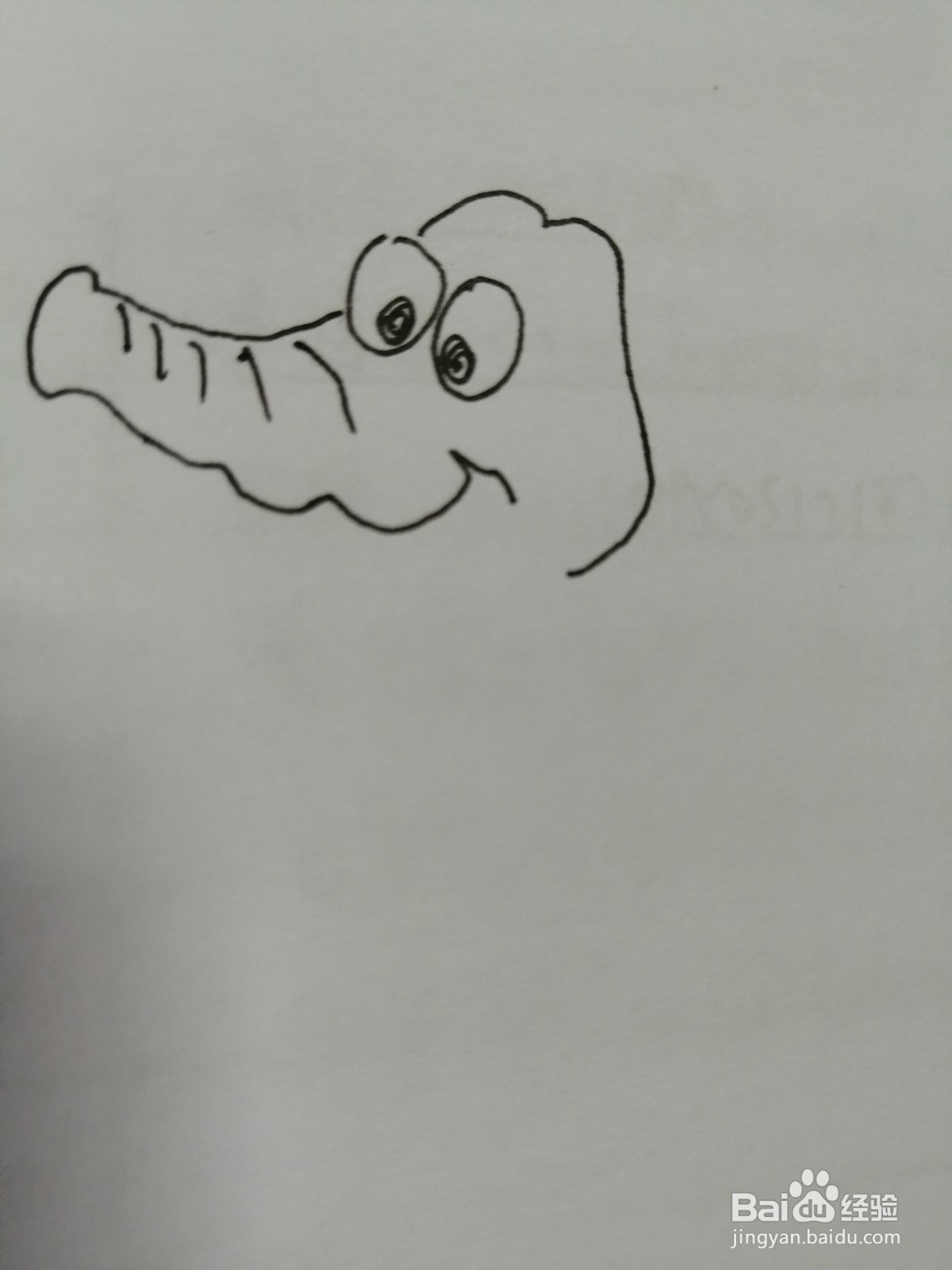 简笔画小鳄鱼怎么画