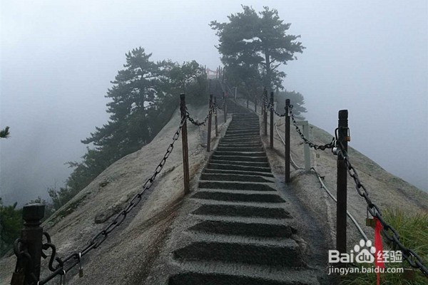 四川广安出发陕西西安（华山）经济四日游