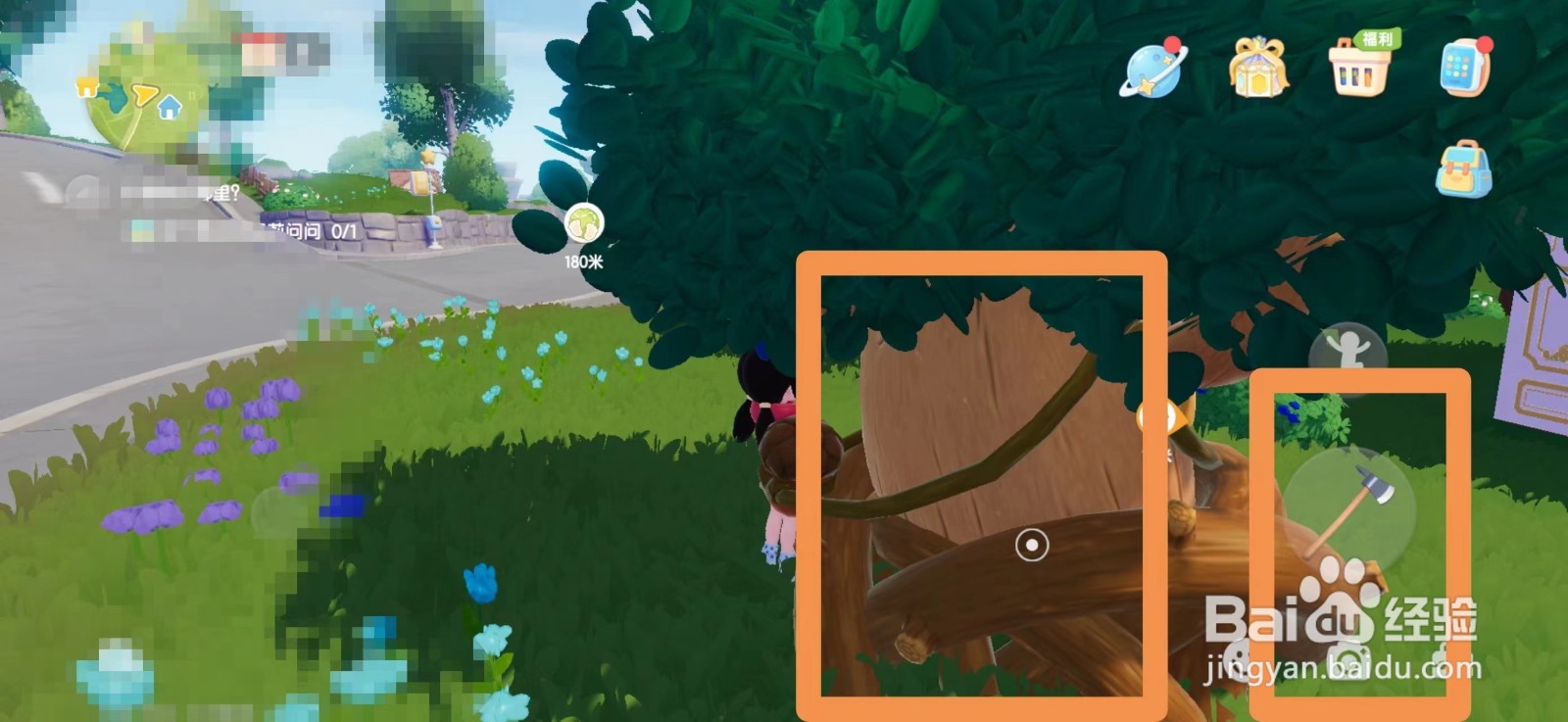 心动小镇8.4日溜溜橡木位置攻略