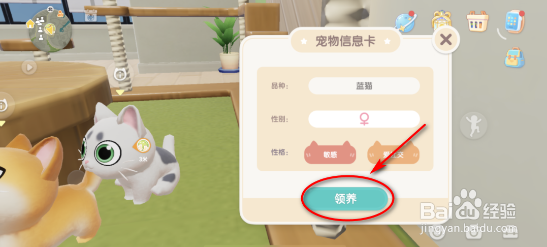 心动小镇怎么领养猫