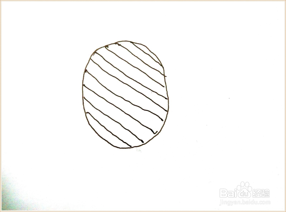 简笔画——菠萝