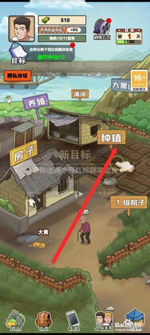 我的乡村生活种植银西红柿如何操作