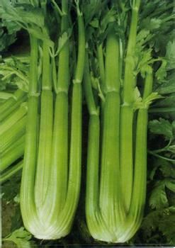 难吃更养生的八种食物