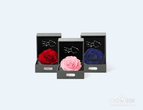 处女座星座花 百度经验