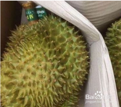 榴莲生的怎么办