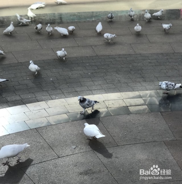 顺义祥云小镇游玩攻略