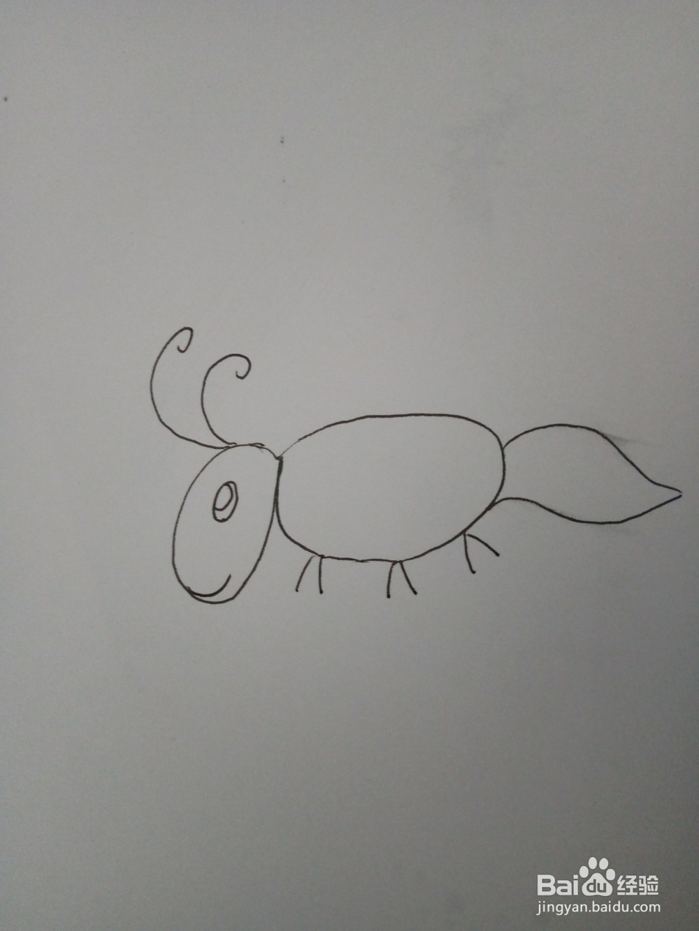 用拼音简笔画小蚂蚁的画法