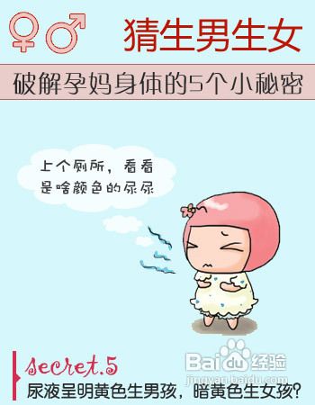 怀孕生男生女